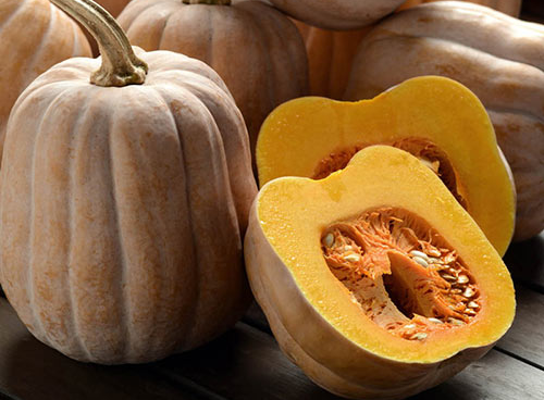 Autumn Frost Squash Recipes: Autumn Elegance on Your Plate