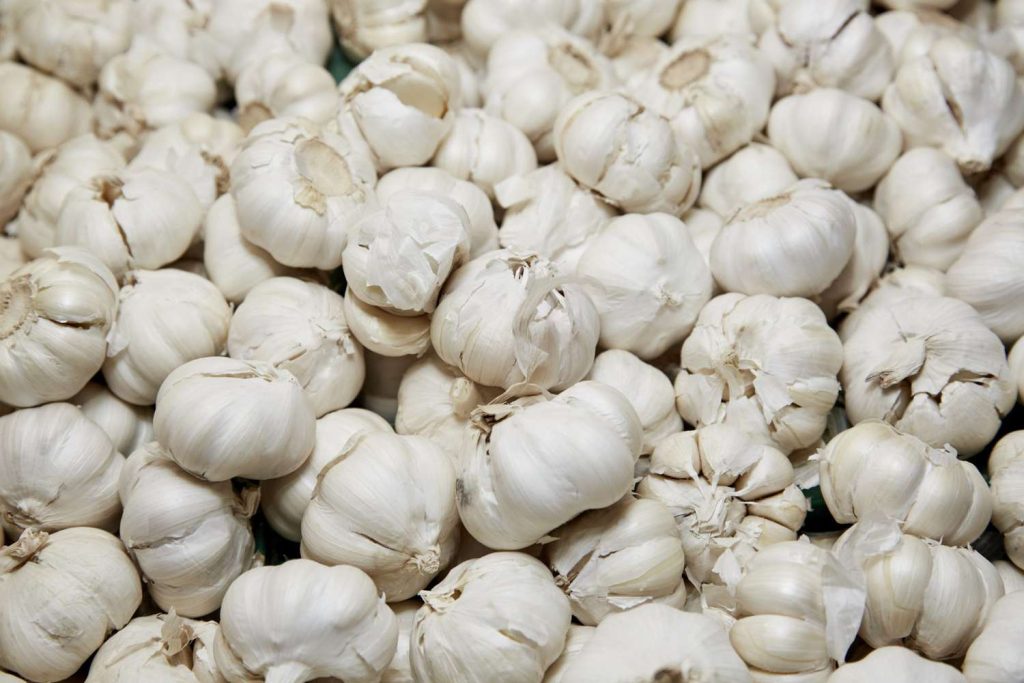 Advantages of Chinese Garlic: Exploring the Perks of Chinese Garlic